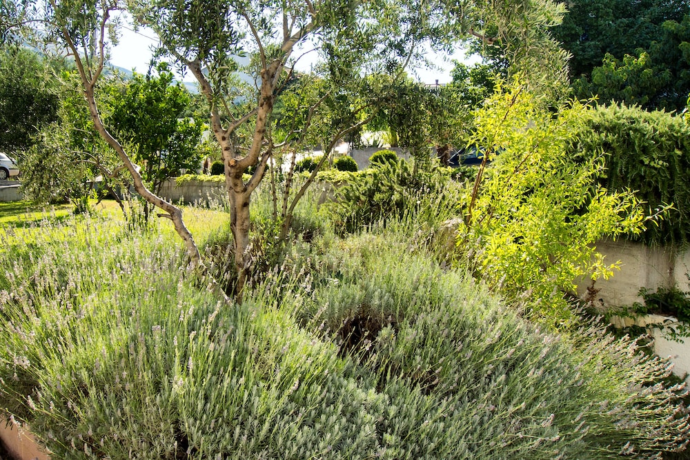 Villa Lavanda 40/50