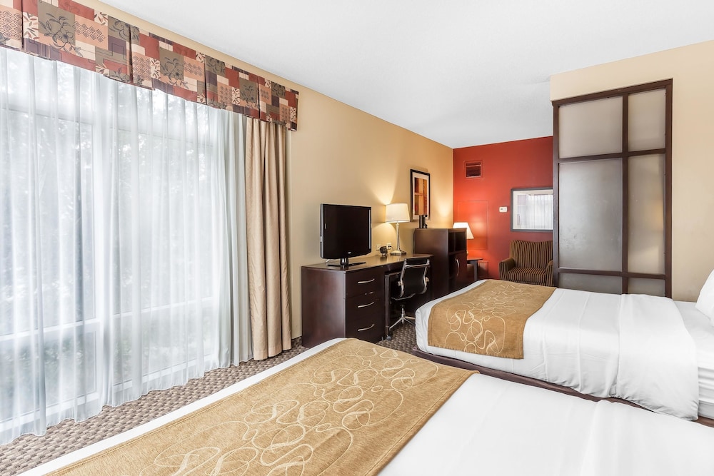 Comfort Suites West of The Ashley 13/46