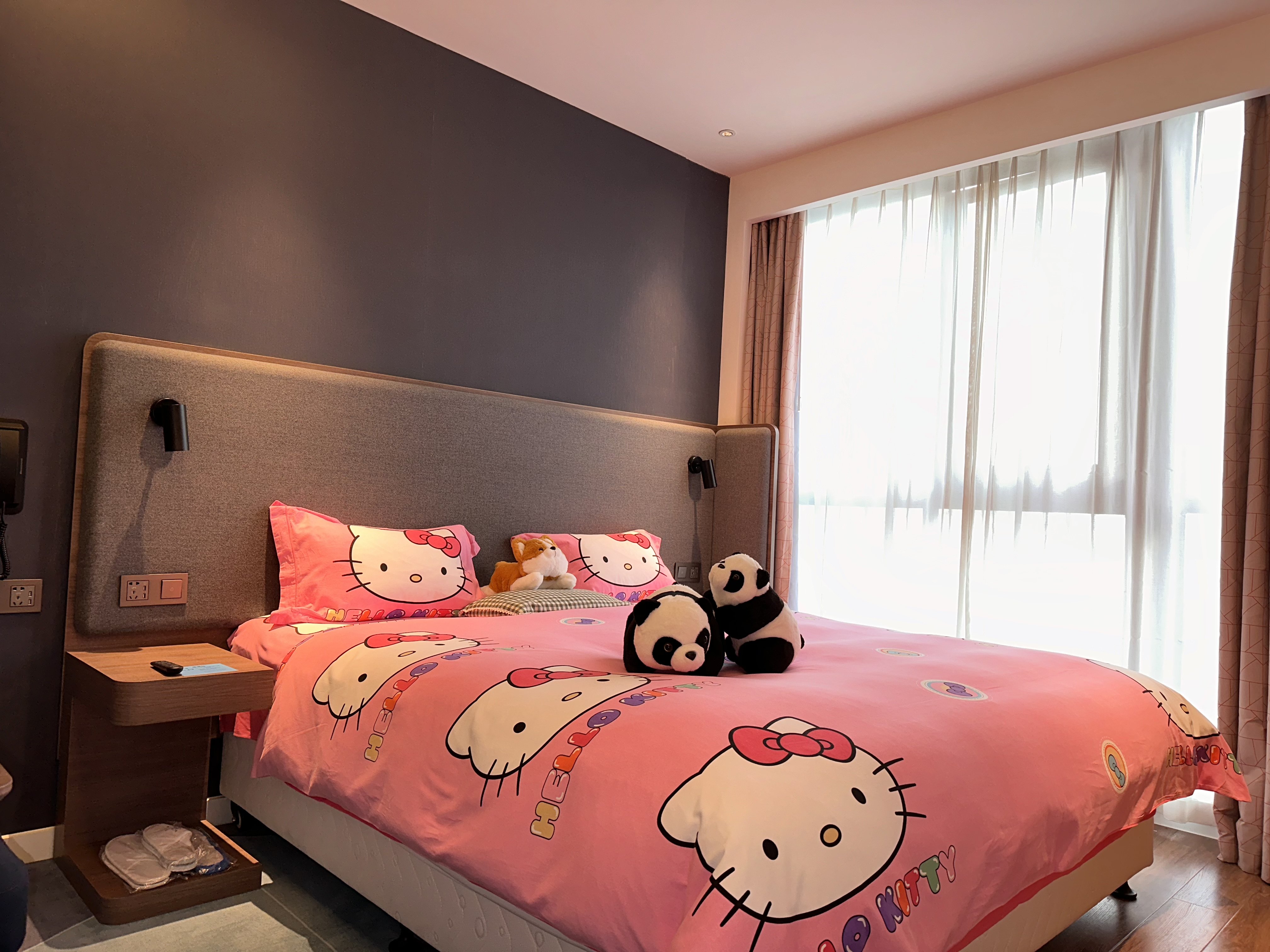 Holiday Inn Express Chengdu Longquanyi North 12/48