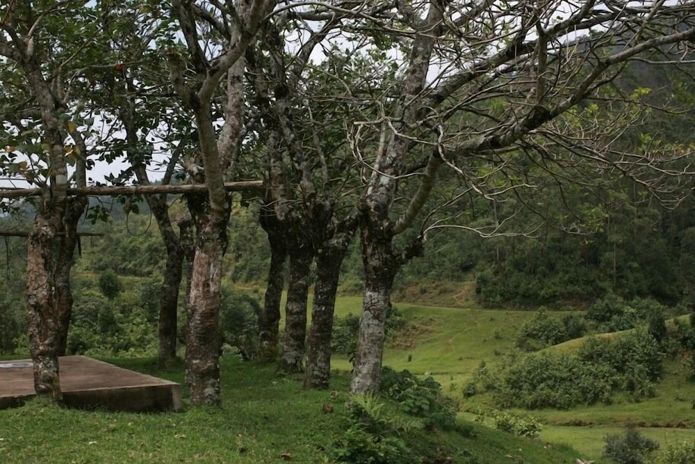 Wild Elephant Eco Friendly Resort 22/32