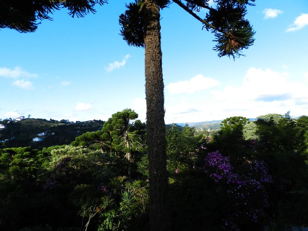 Recanto das Araucarias 62/65
