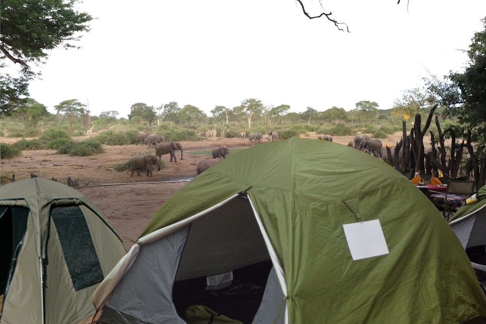 Liya Lodge and Campsite 8/19