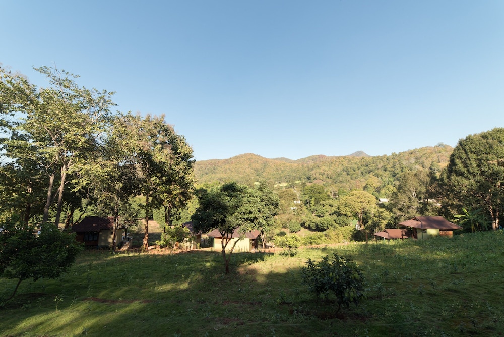 Chiang Mai Elephant Friends 35/50