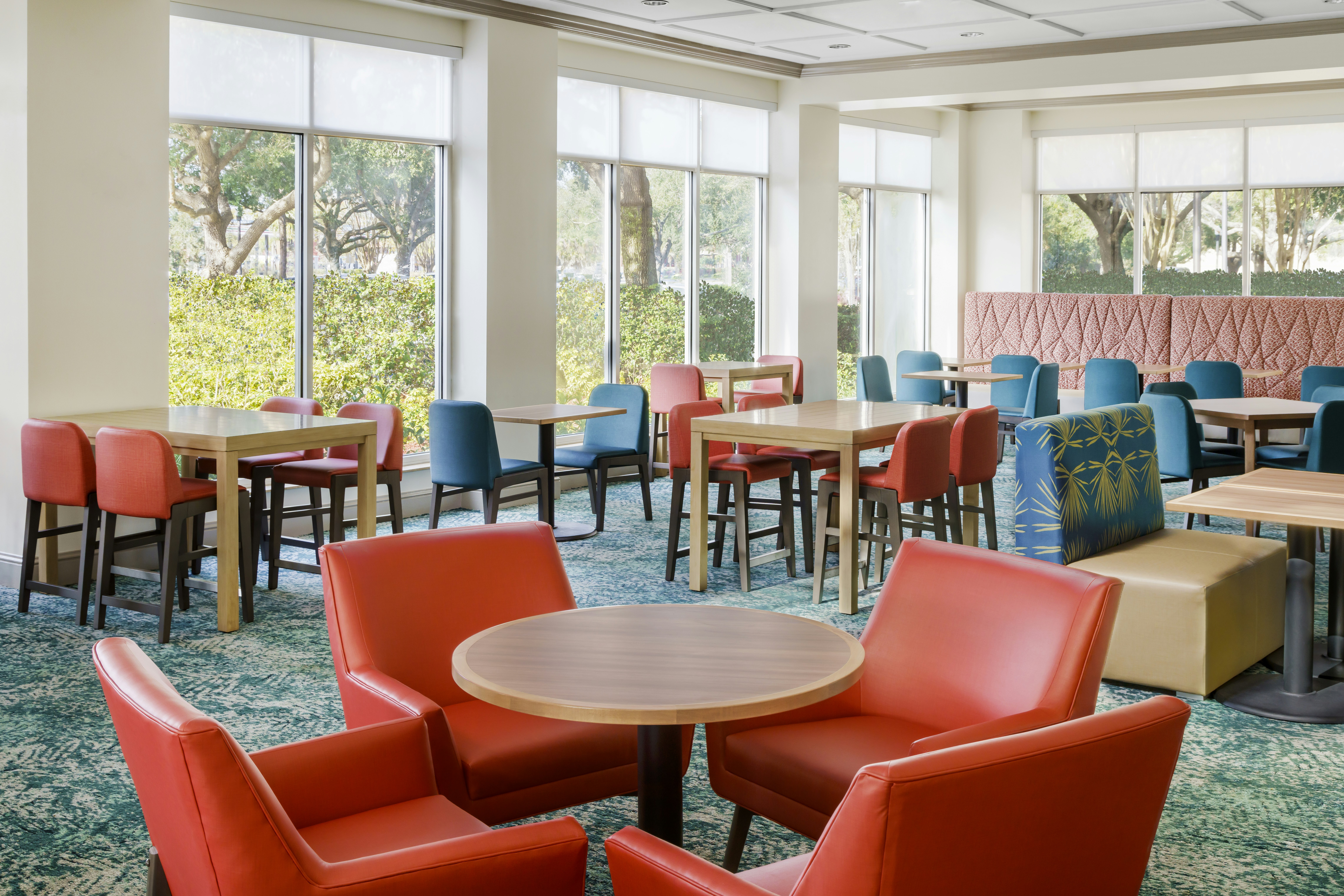 Hilton Garden Inn Orlando At Seaworld 11/16