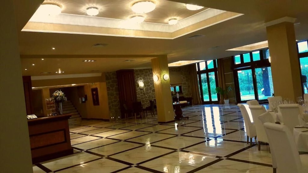 Grand Meteora Hotel 12/60