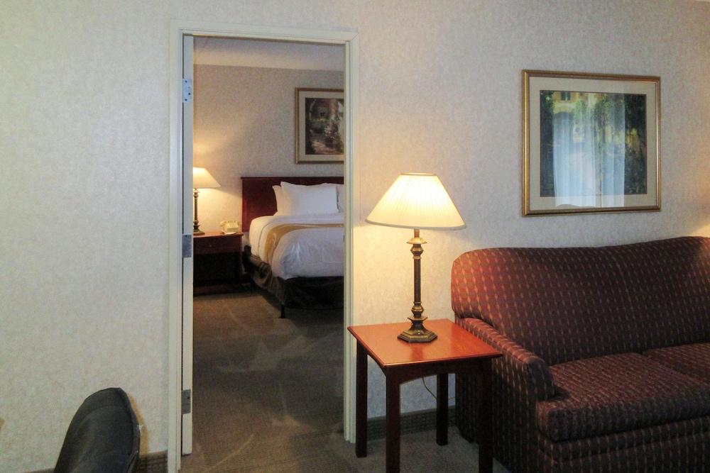 品质套房酒店(Quality Inn and Suites Downtown University Area) 图片2