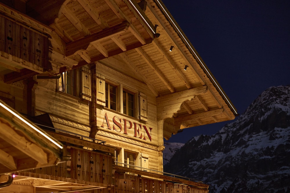 Aspen alpine lifestyle hotel Grindelwald 21/47