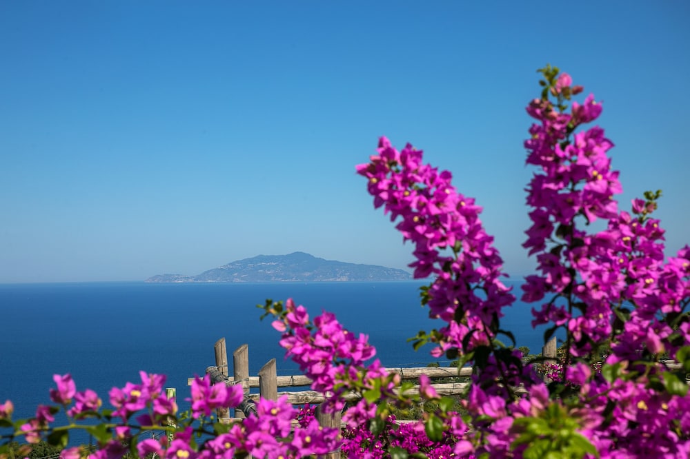Hotel il Girasole 70/74