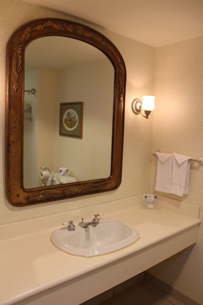 Monumental Hotel Orlando 24/58