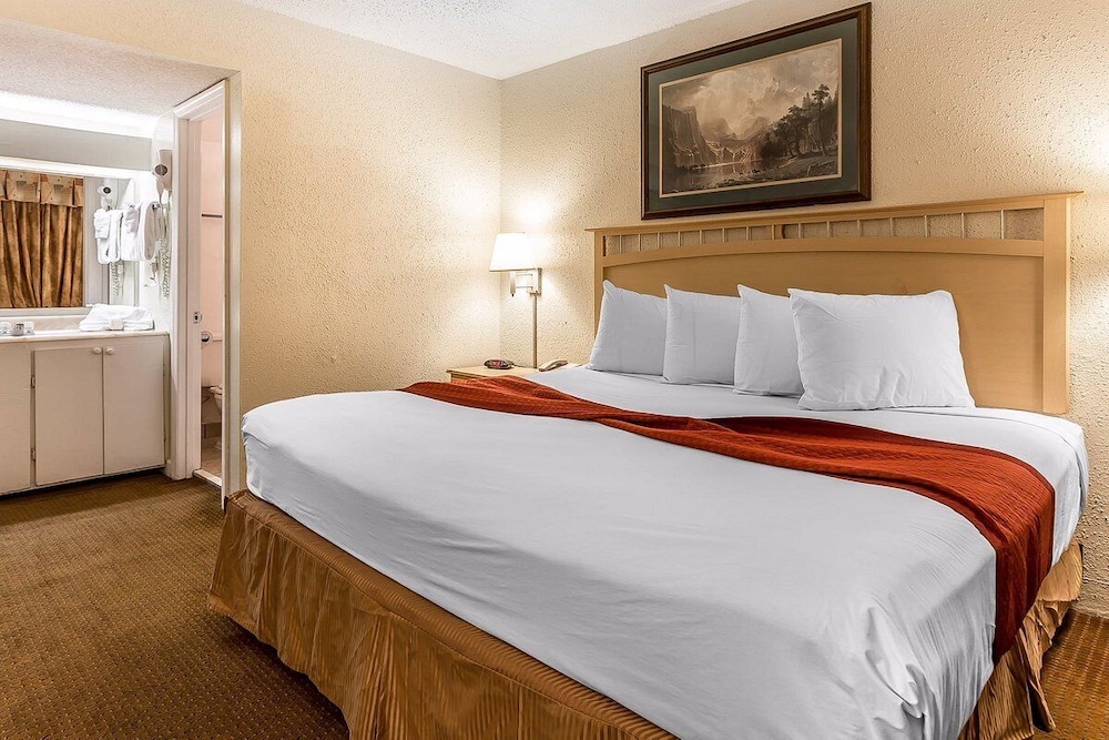 ROOM, SINGLE