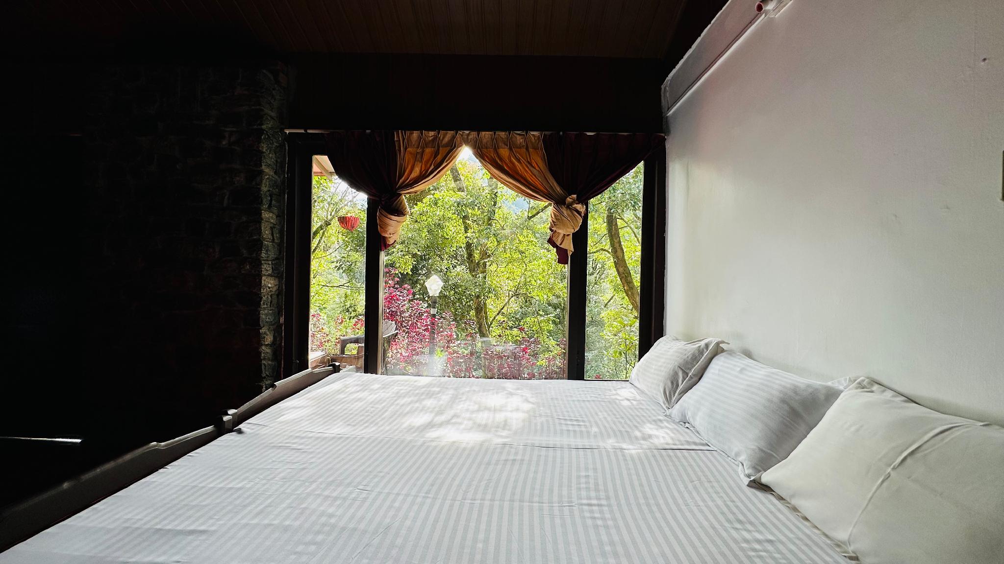 Rock, Cabin