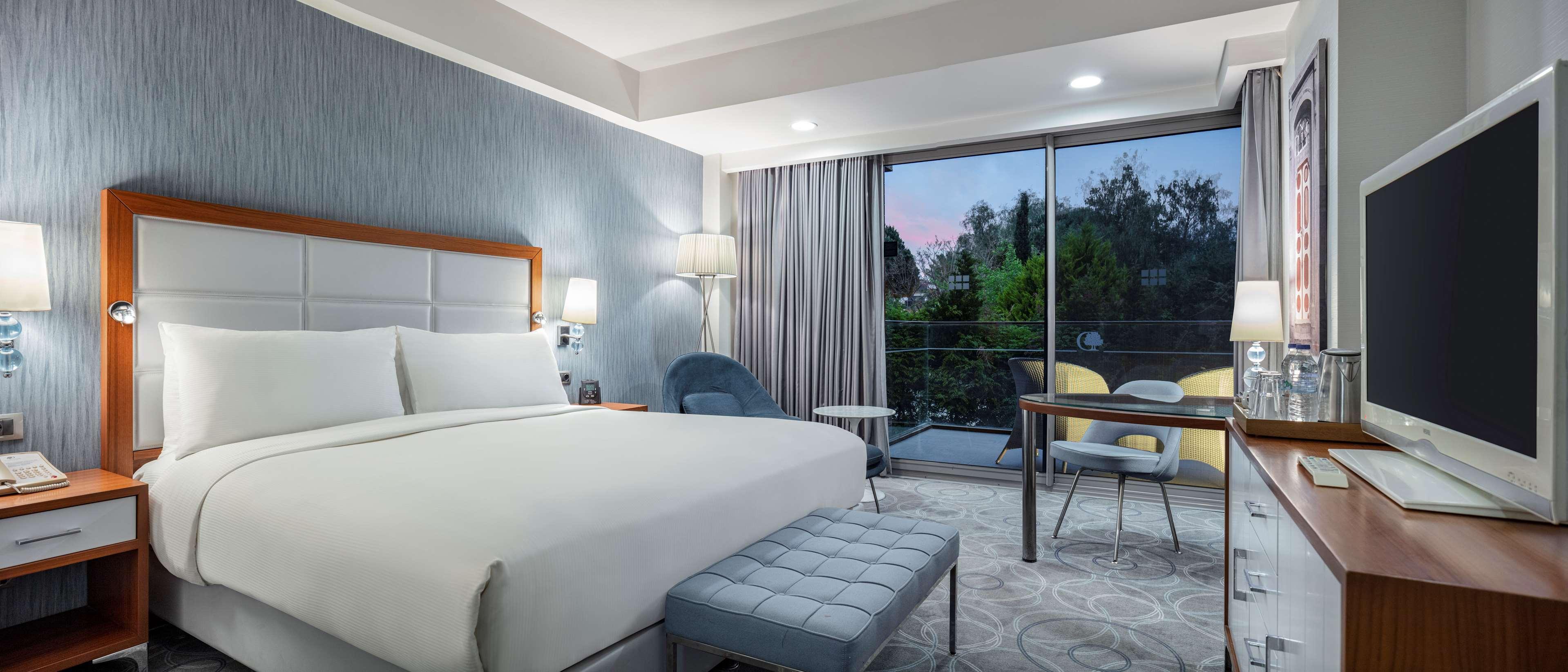 GUEST ROOM, KING BED, SMOKING