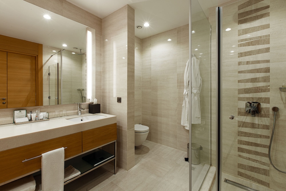 Holiday Inn Baku 16/59