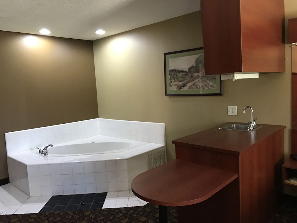 Microtel Inn & Suites by Wyndham Lithonia/Stone Mountain 29/31