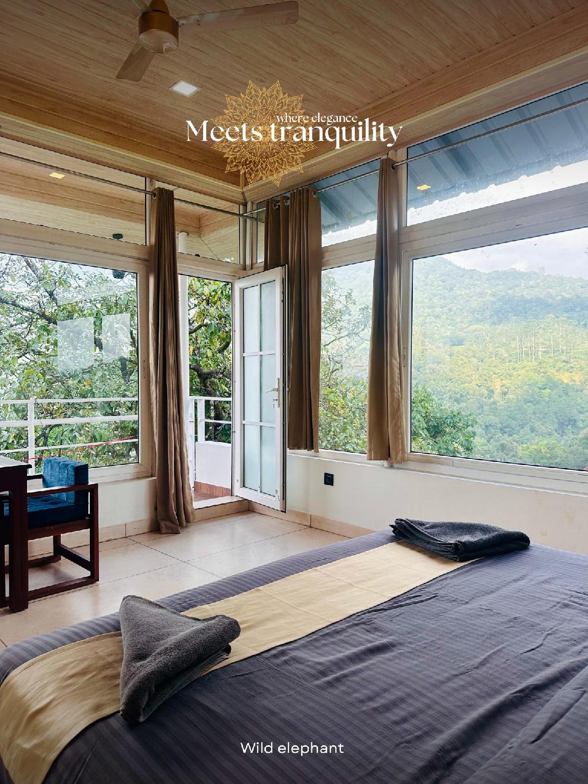 Suite, Pool View