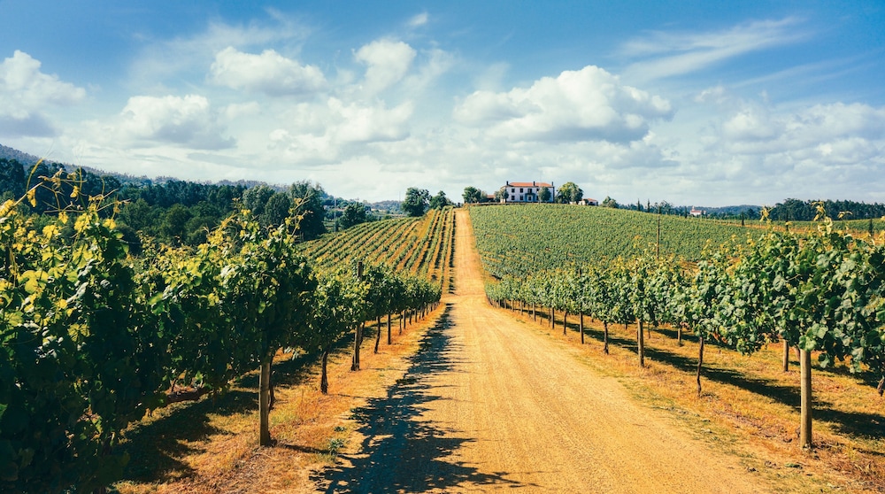 Terra Rosa Country House & Vineyards 34/50