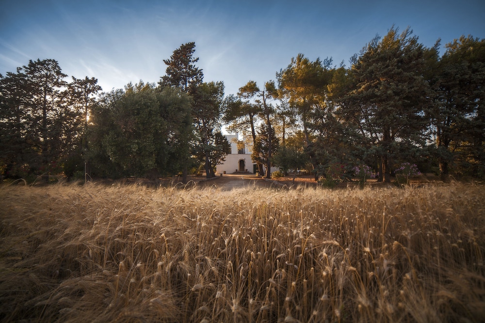 Masseria Fracchicchi 30/48