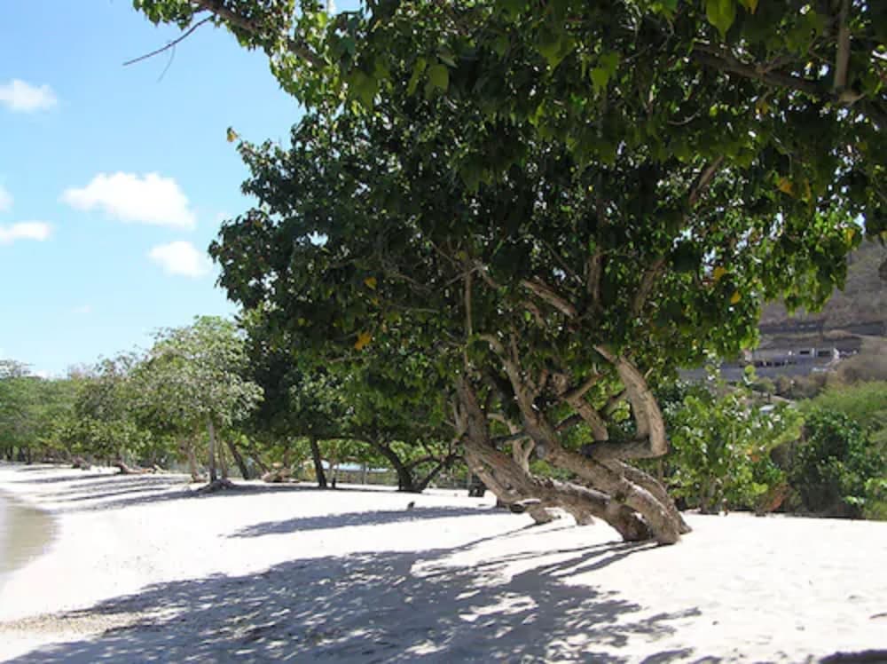 KALINAGO BEACH RESORT 44/49