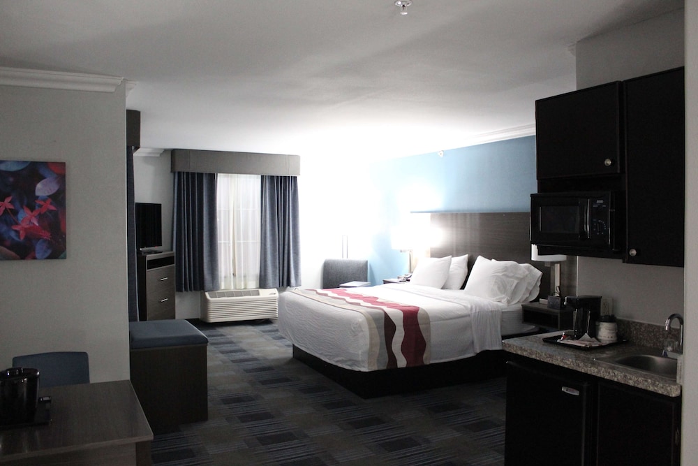 Best Western Medical Center North Inn and Suites Near Six Flags 14/37