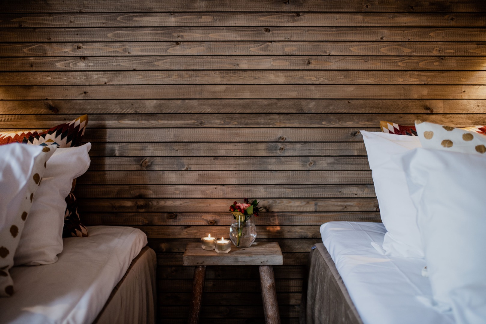 Small Double, Twin Beds, Mountain View