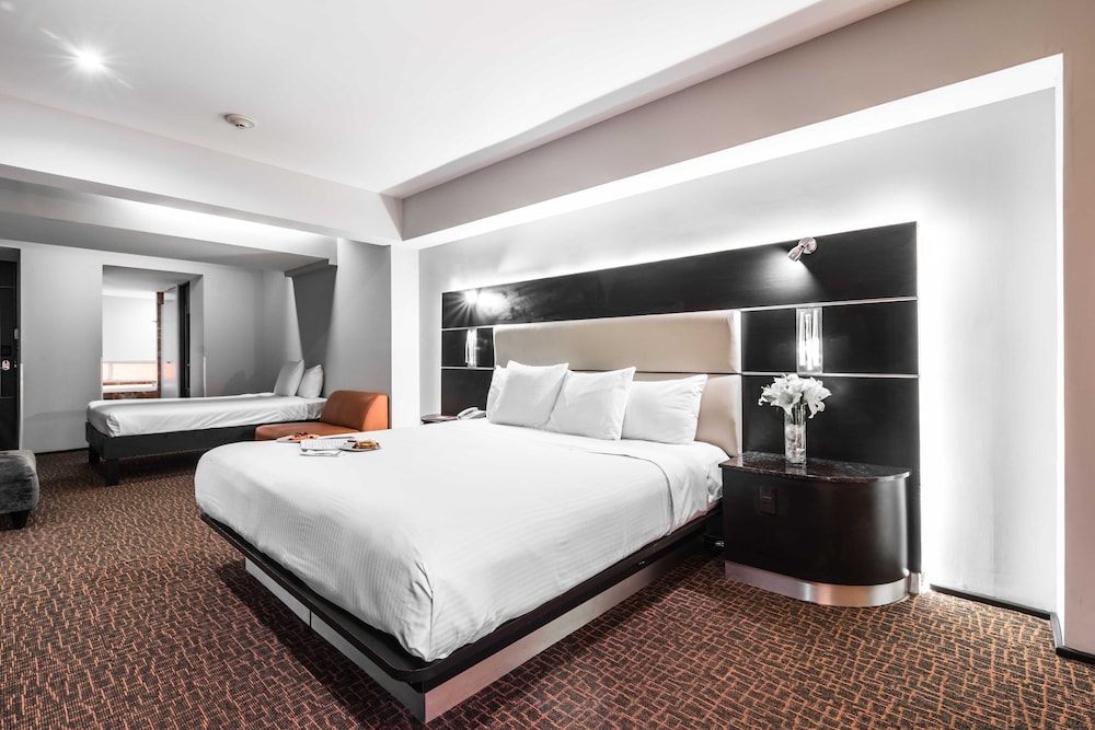 Exe Cities Reforma Ex Nyt Roma Boutique Reforma 17/62