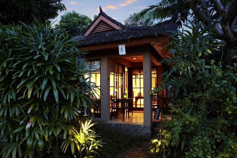 The Damai 5/50