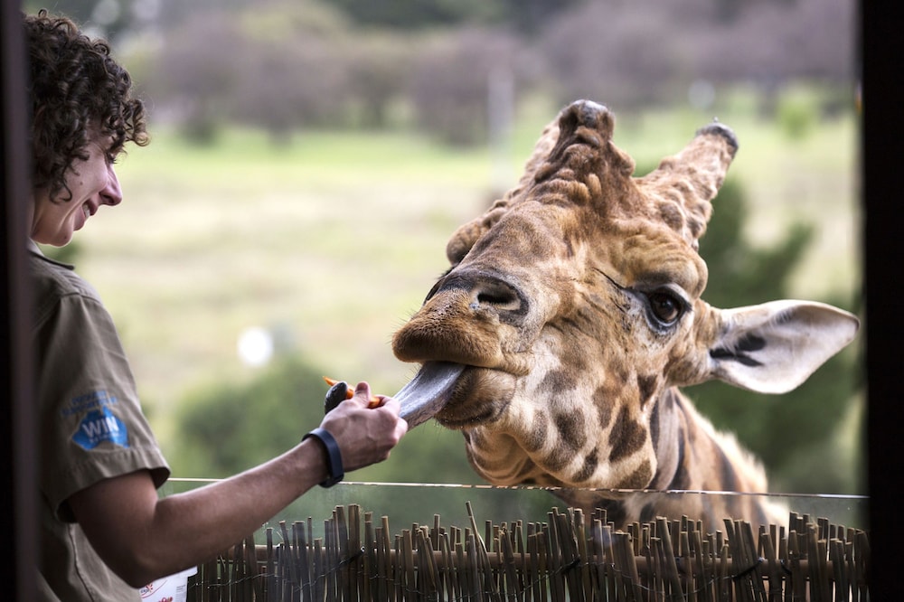 JAMALA WILDLIFE LODGE 20/50