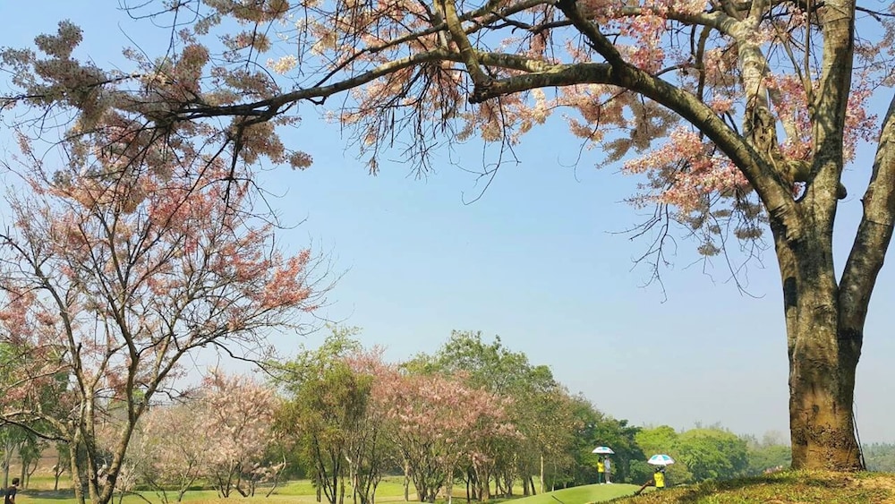 The Royal Chiang Mai Golf Resort 65/75