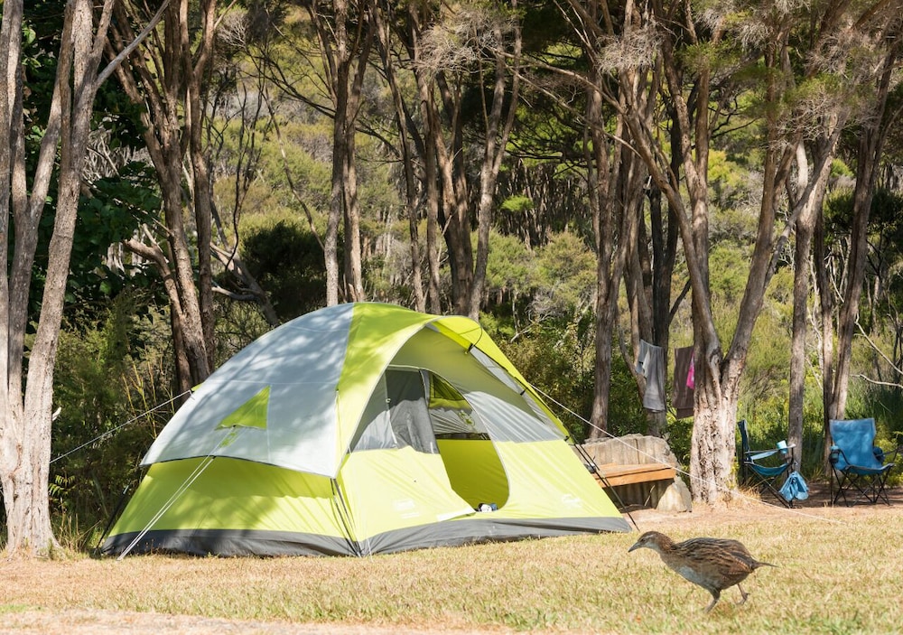 Russell-Orongo Bay Holiday Park 35/66