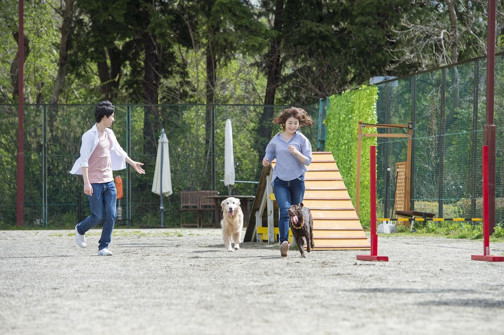 Izumigo Izukogen Dog Paradise Hotel 22/38