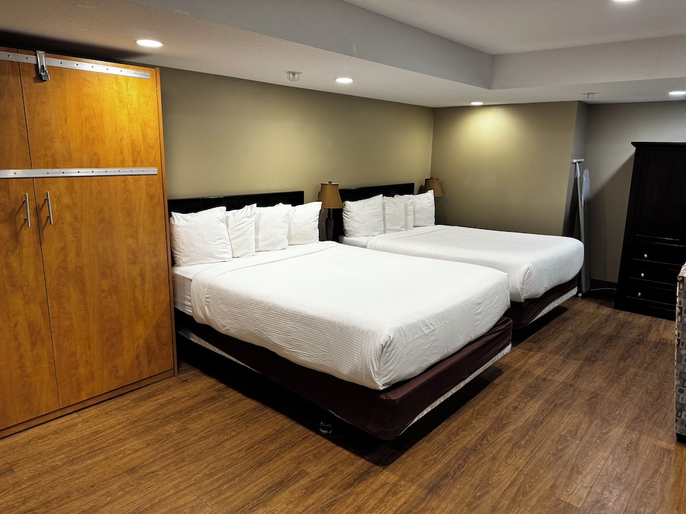 Family, Studio, Suite, Murphy Bed, 2 Queen Beds, Kitchen