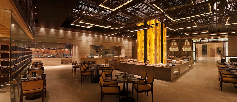 Hilton Jaipur 51/60