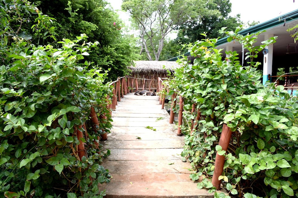 Hungry Lion Resort 35/43