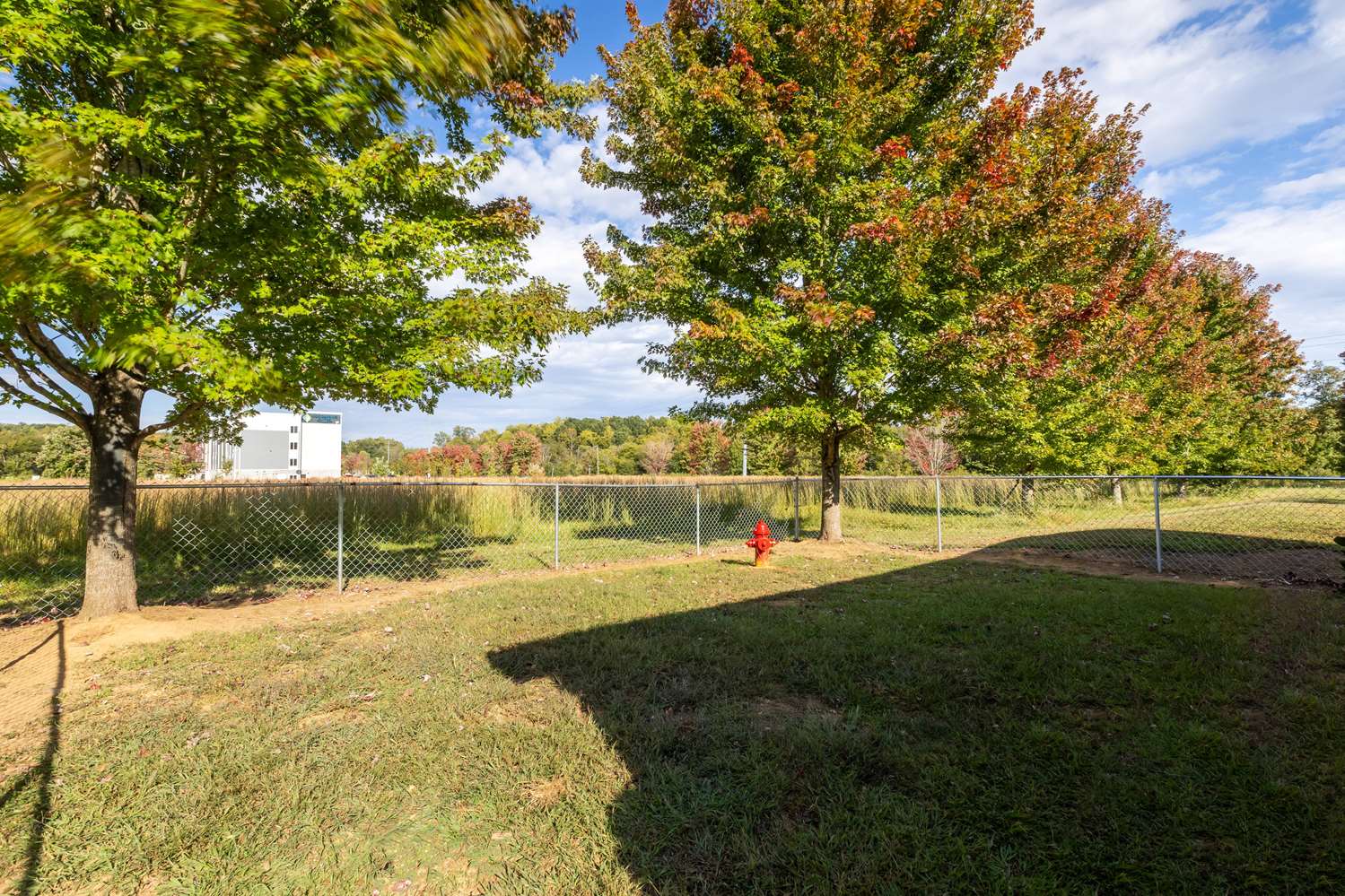 Wingate By Wyndham Charlotte Speedway Concord 60/69