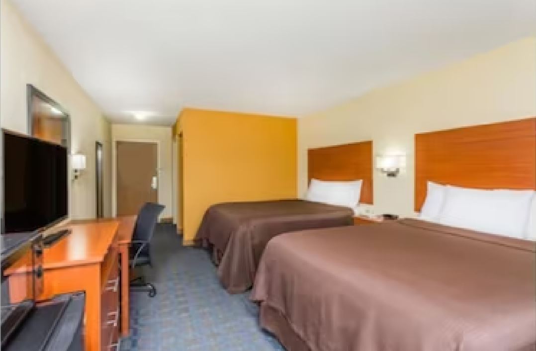 Room, Queen Bed
