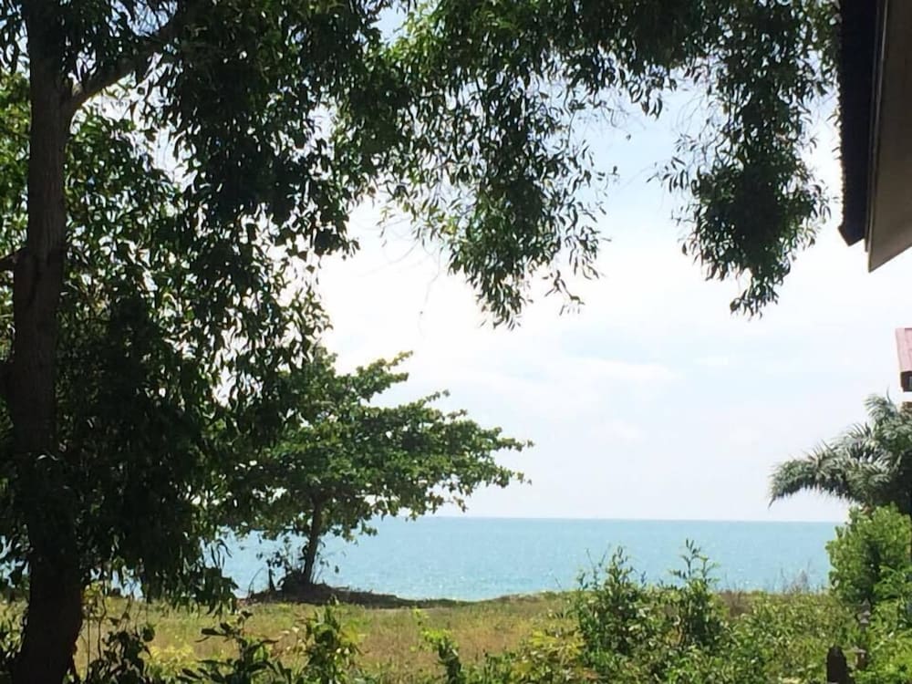 Bamboo Resort 34/41