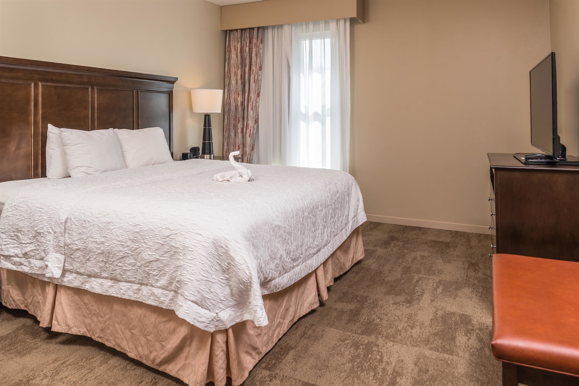 Suite, King Bed