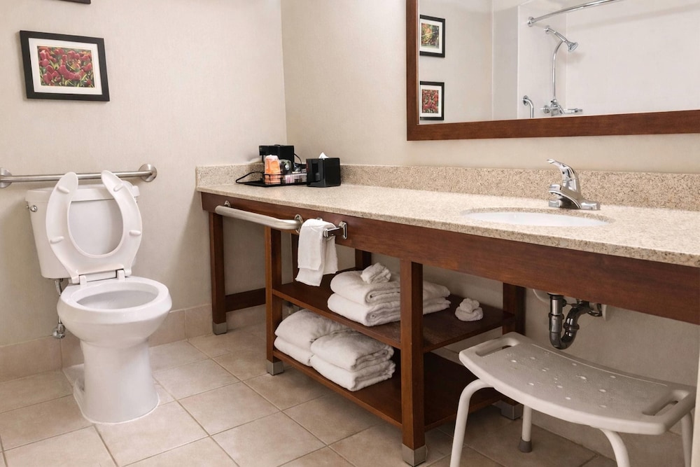 غرفة بسرير كينج لذوي الإعاقة، Comfort Inn Farmington Hills - Detroit Northwest 5/6