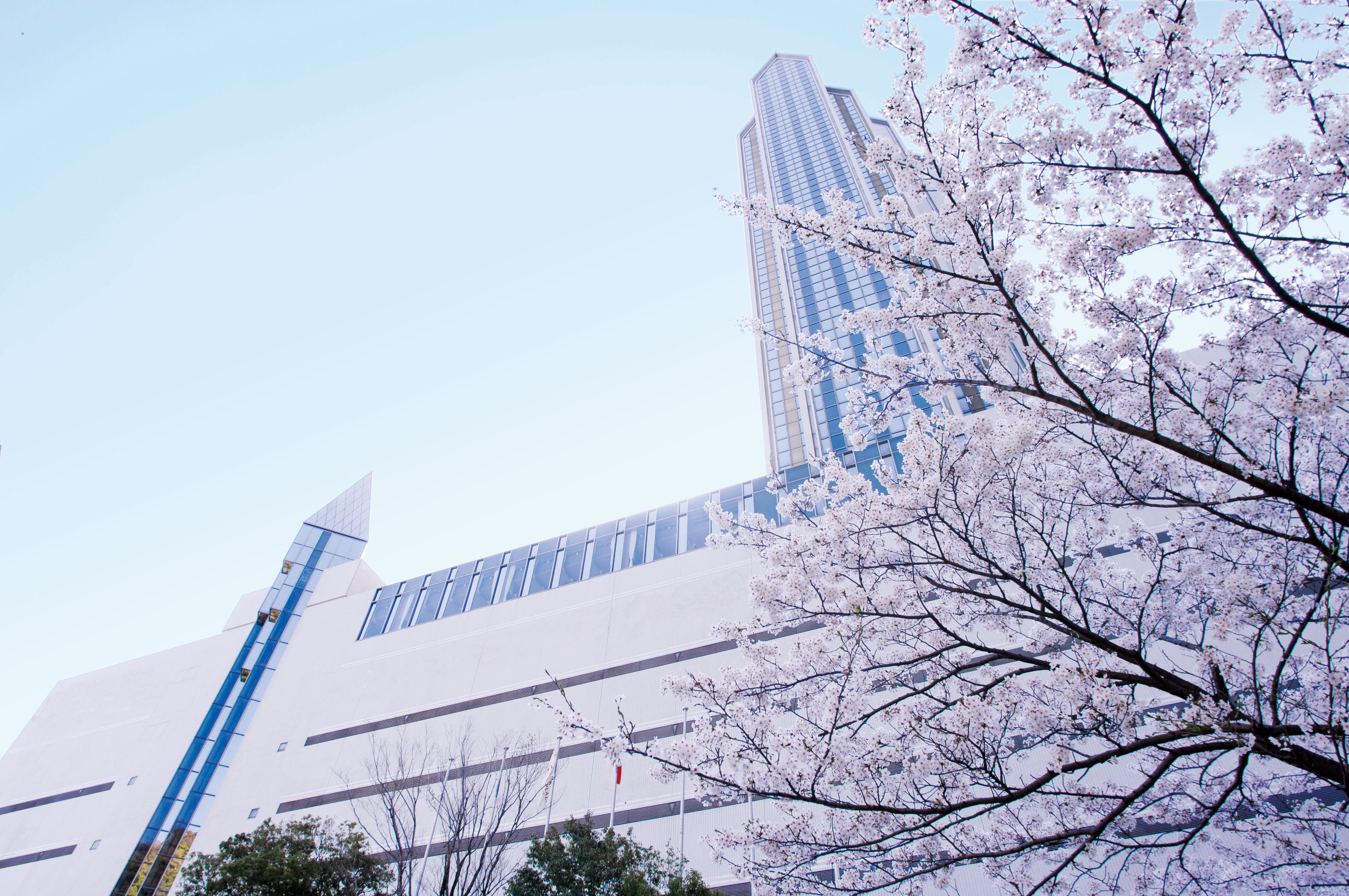 ANAクラウンプラザホテル神戸 写真5