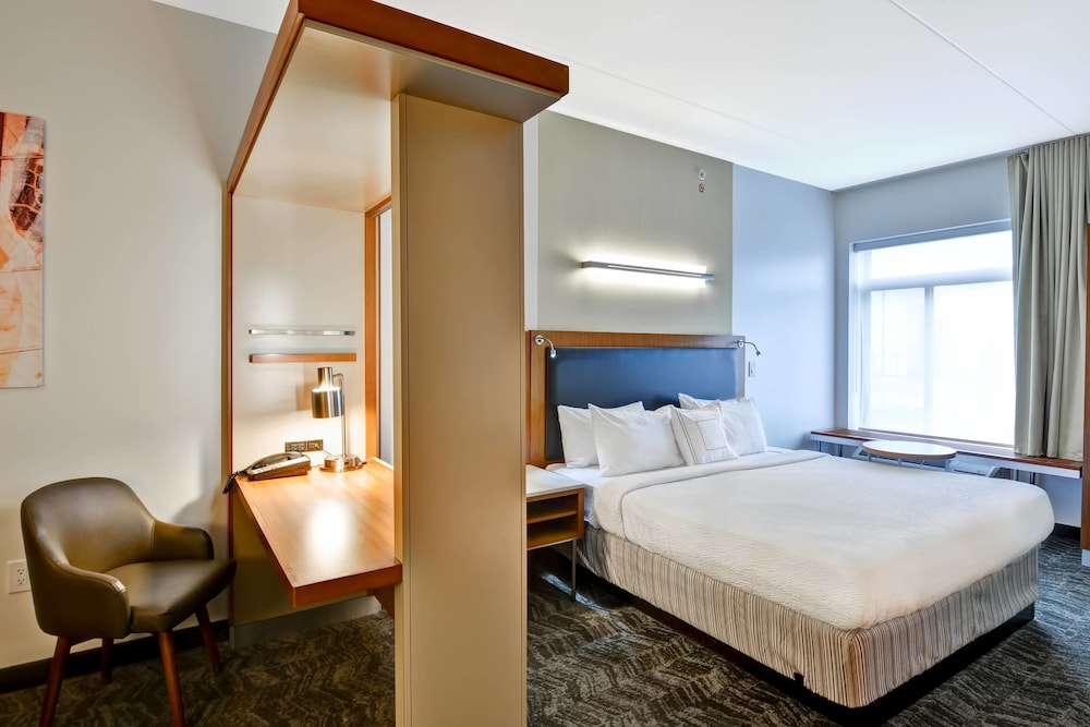 Springhill Suites Cincinnati Airport South 17/43