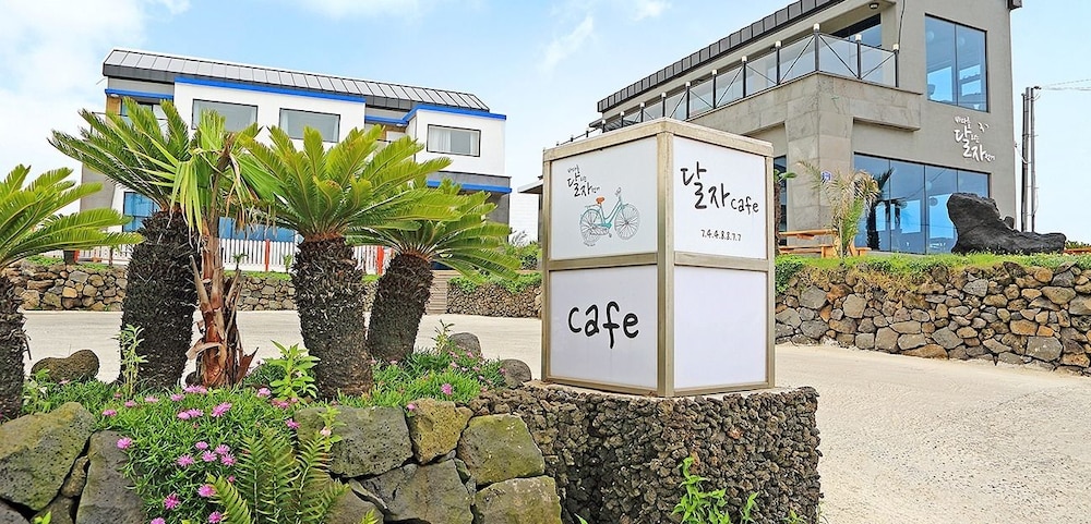 Dalja Pension 22/25