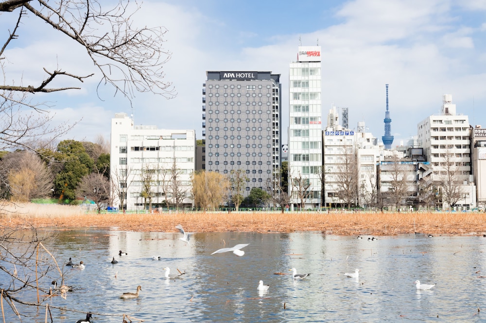 surroundings