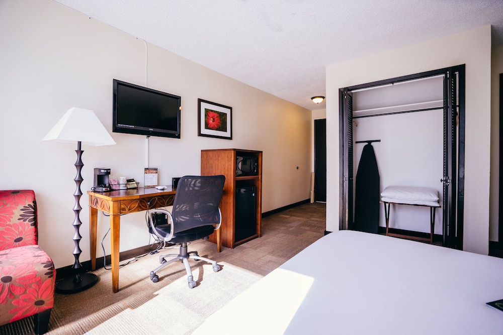 Stay Hotel Waikiki 27/61
