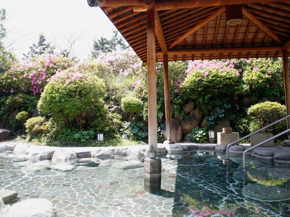 Izu Hatake Onsen Daisenya 10/34