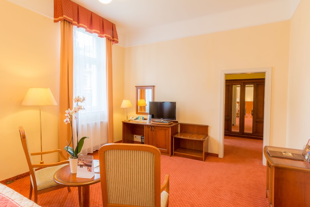 Centralni Lazne Ensana Health Spa Hotel 26/49