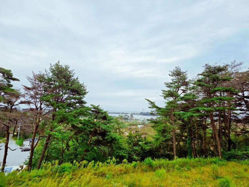 Gangneung Gyeongpo Cabin Pension 14/16