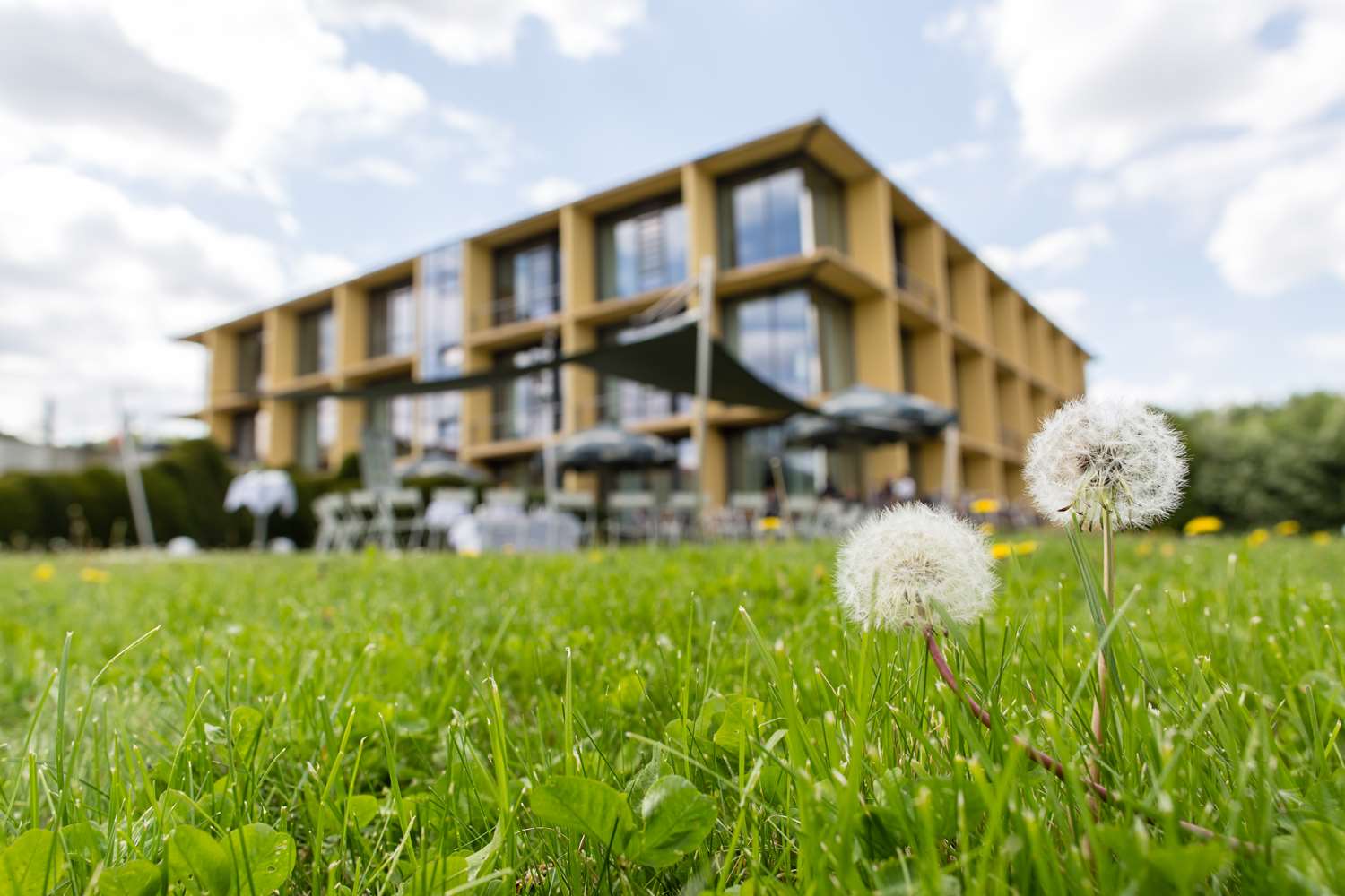 Rugs Hotel Am Schlosspark Lichtenwalde 41/47