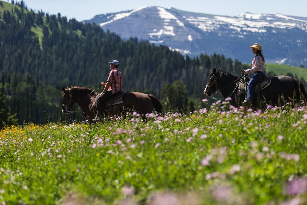 Sioux Lodge Suites by Grand Targhee Resort 45/50