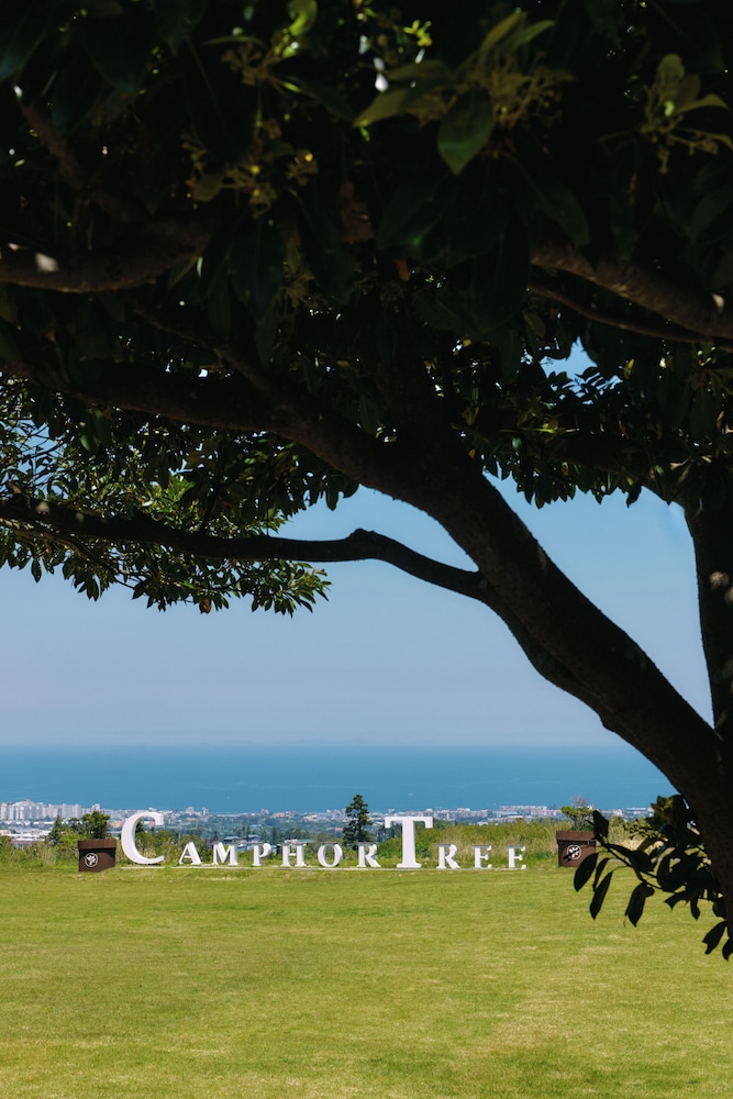 Camphortree Hotel And Resort 56/60