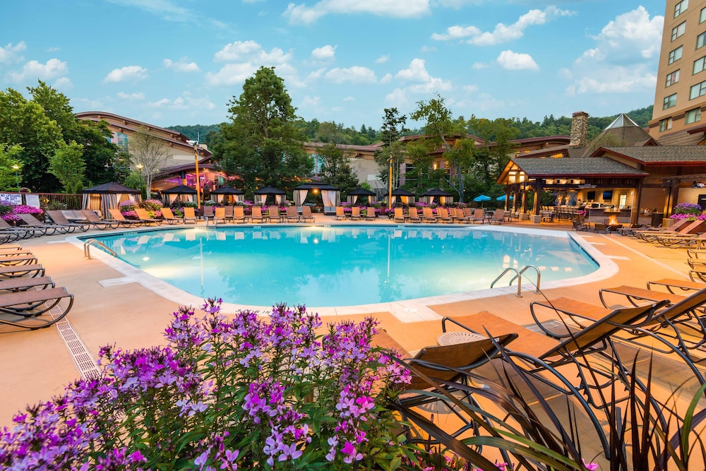 Harrah's Cherokee - A Caesars Rewards Destination 49/51